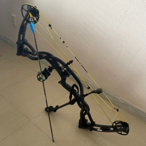 HOYT Carbon Element RKT