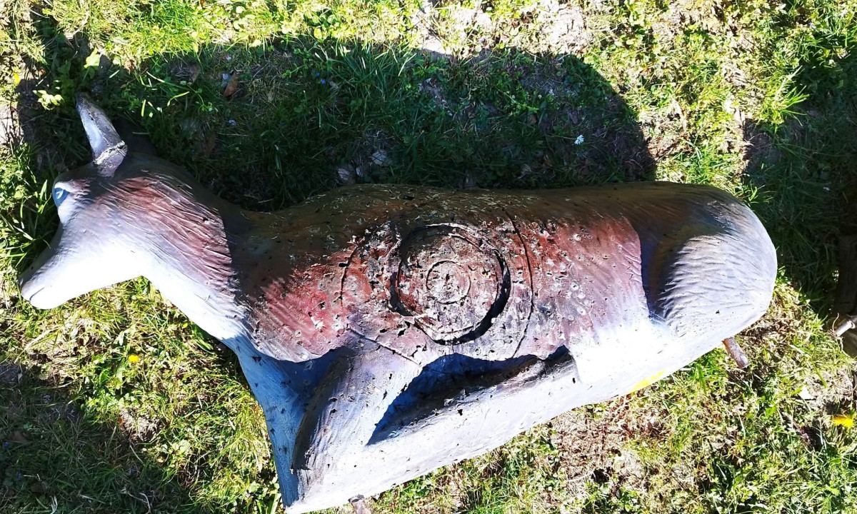 Kúpim vyradené 3D terče